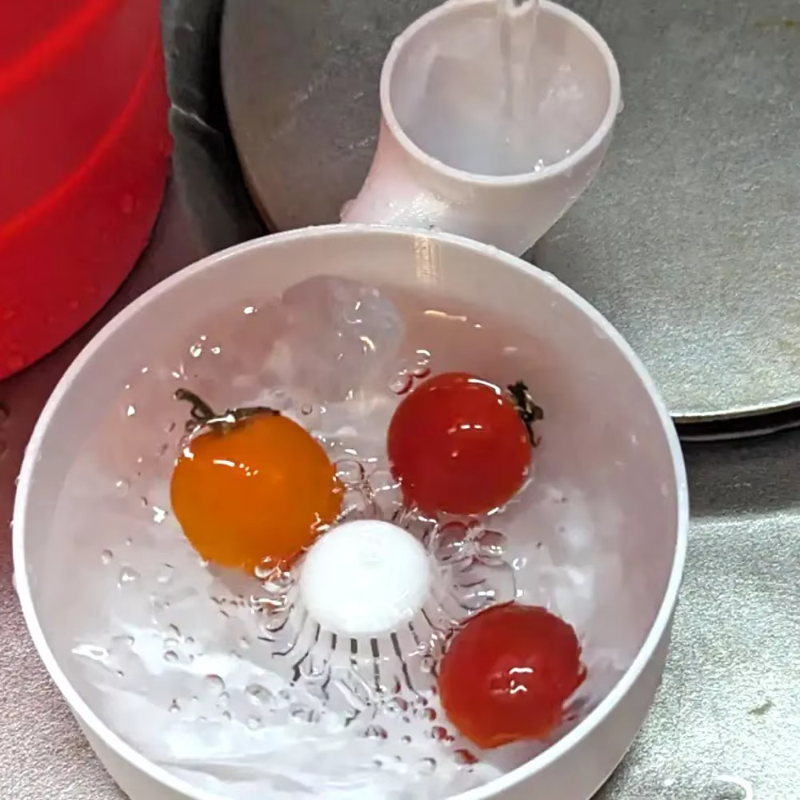 Fruit Spinner Portable Fruit W - đánh giá và giá 3D Printing In Food