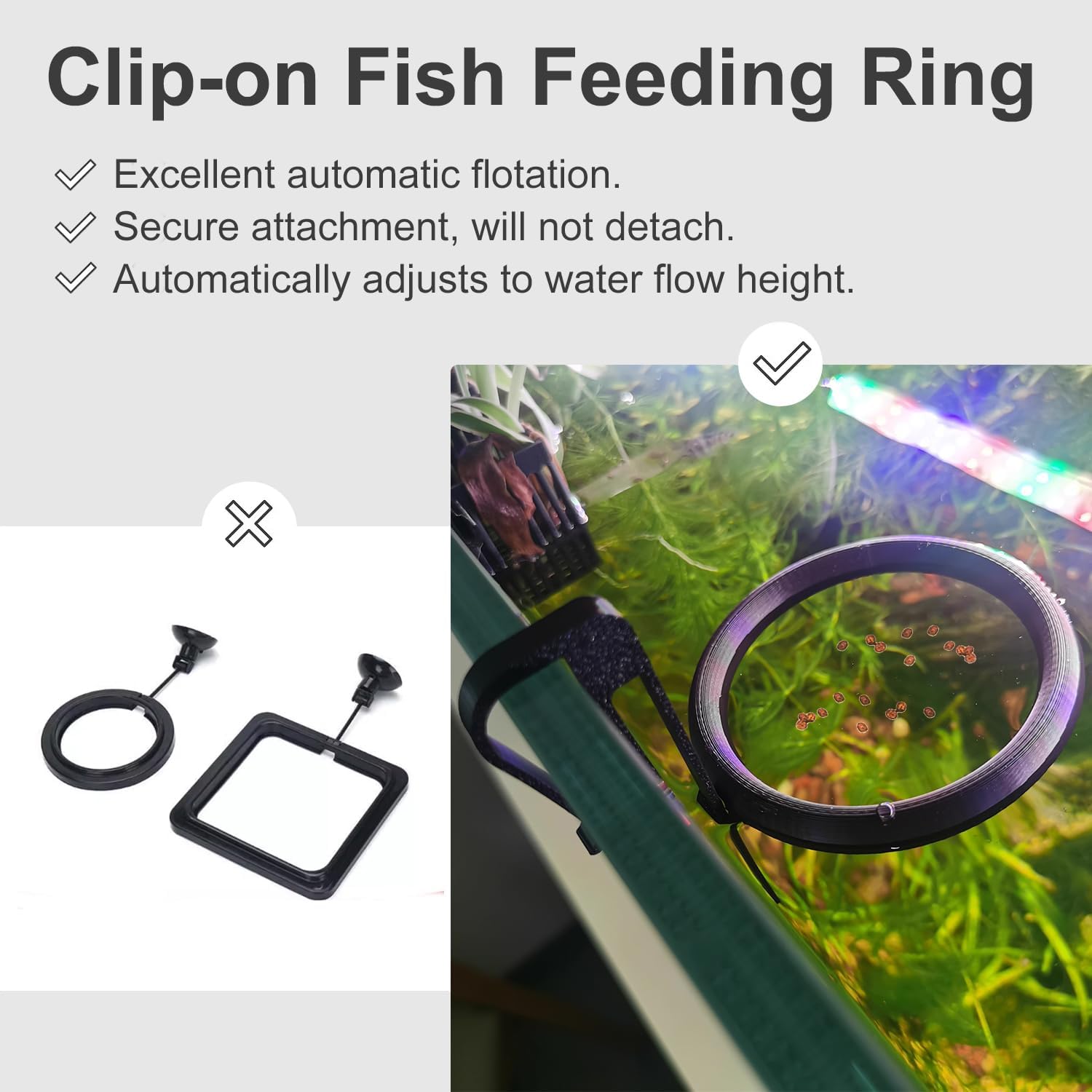 3D Printed Fish Feeding Ring F - đánh giá và giá 3D Printing In Food