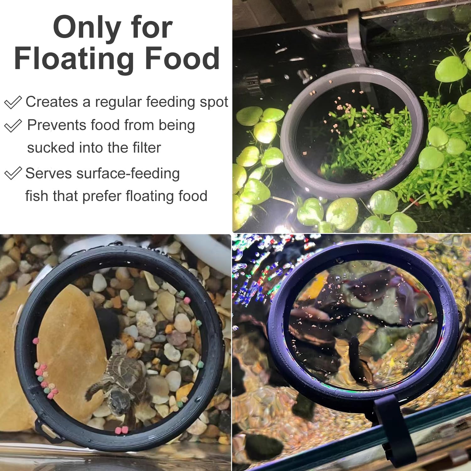 3D Printed Fish Feeding Ring F - đánh giá và giá 3D Printing In Food